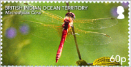 Buy stamps and FDCs from Diego Garcia